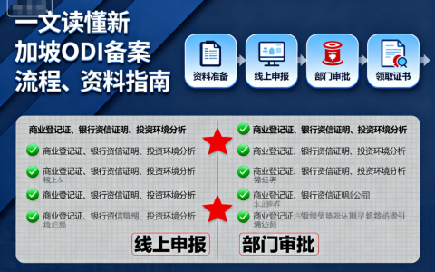 一文读懂新加坡ODI备案流程、资料指南